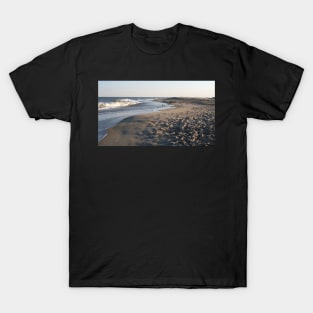 Chincoteague Island Beach T-Shirt